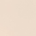 UA PURE STRETCH NO SHOW THONG -SOLID 3PK