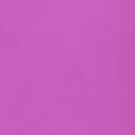 Schienbeinschutz WC Pro