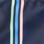 Swim for Days Stripes Bral ST
