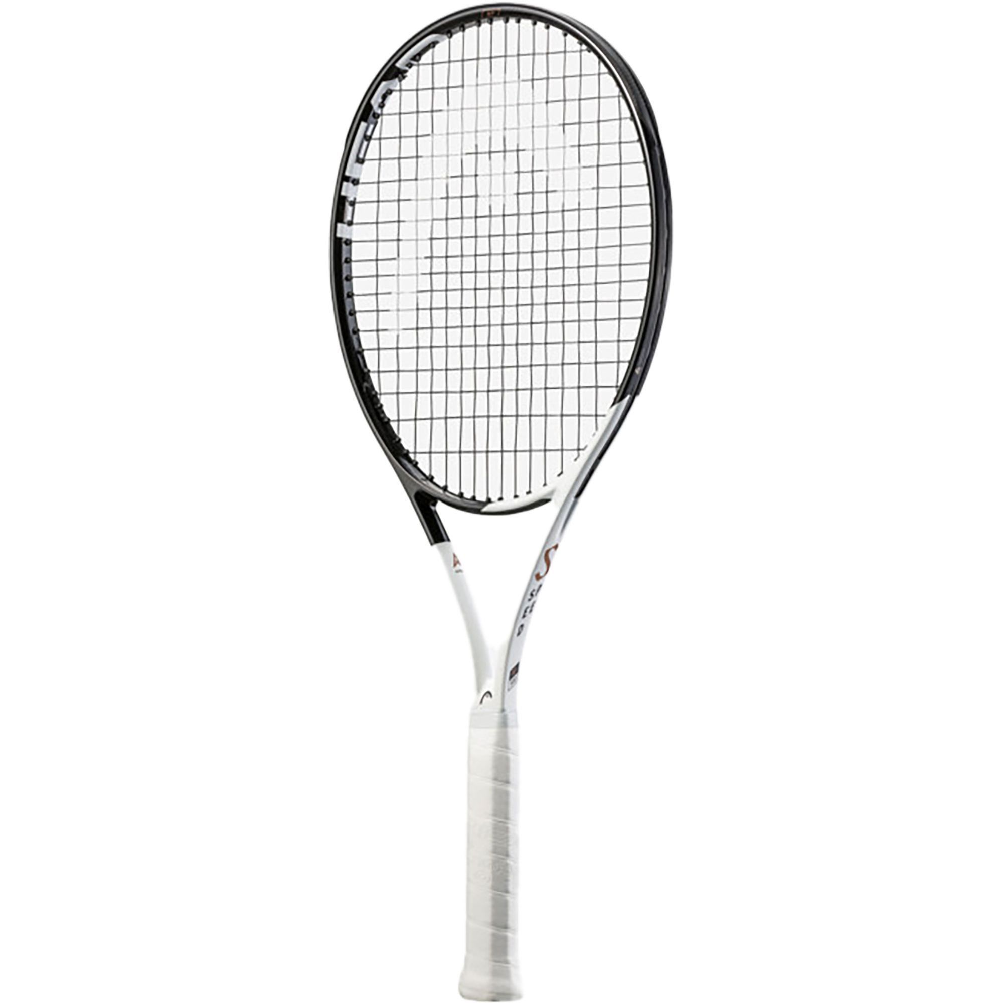 Speed MP 2022 Speed MP 2022