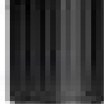 Black Venom GS TR