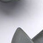 Ergo Earplug