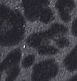 7700402 Anni'
