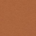 Comp Logo Hoodie Youth