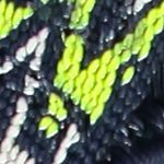 Kids Sahiph Hiking Sandals 30Q9524J