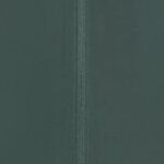HEIDELSTEIN 2 INS JKT W