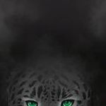 THE MATRIARCH WIDE