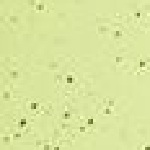 Series 2 Big Mouth Bottle