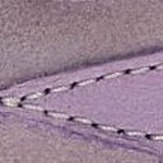 001-2018340-02 Babe 2