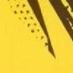 BVB Home Jersey Replica with Sponsor