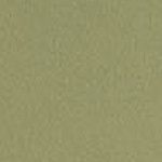 ESSENTIALS BAAY MAOI BIKINI SET