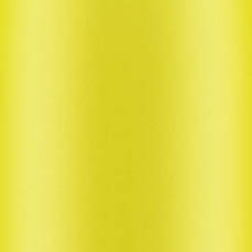 Neon Edition 500ml