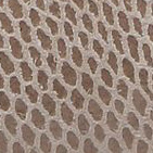 67083 Corbina
