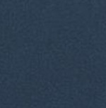 Wo Altissimo Shorts II