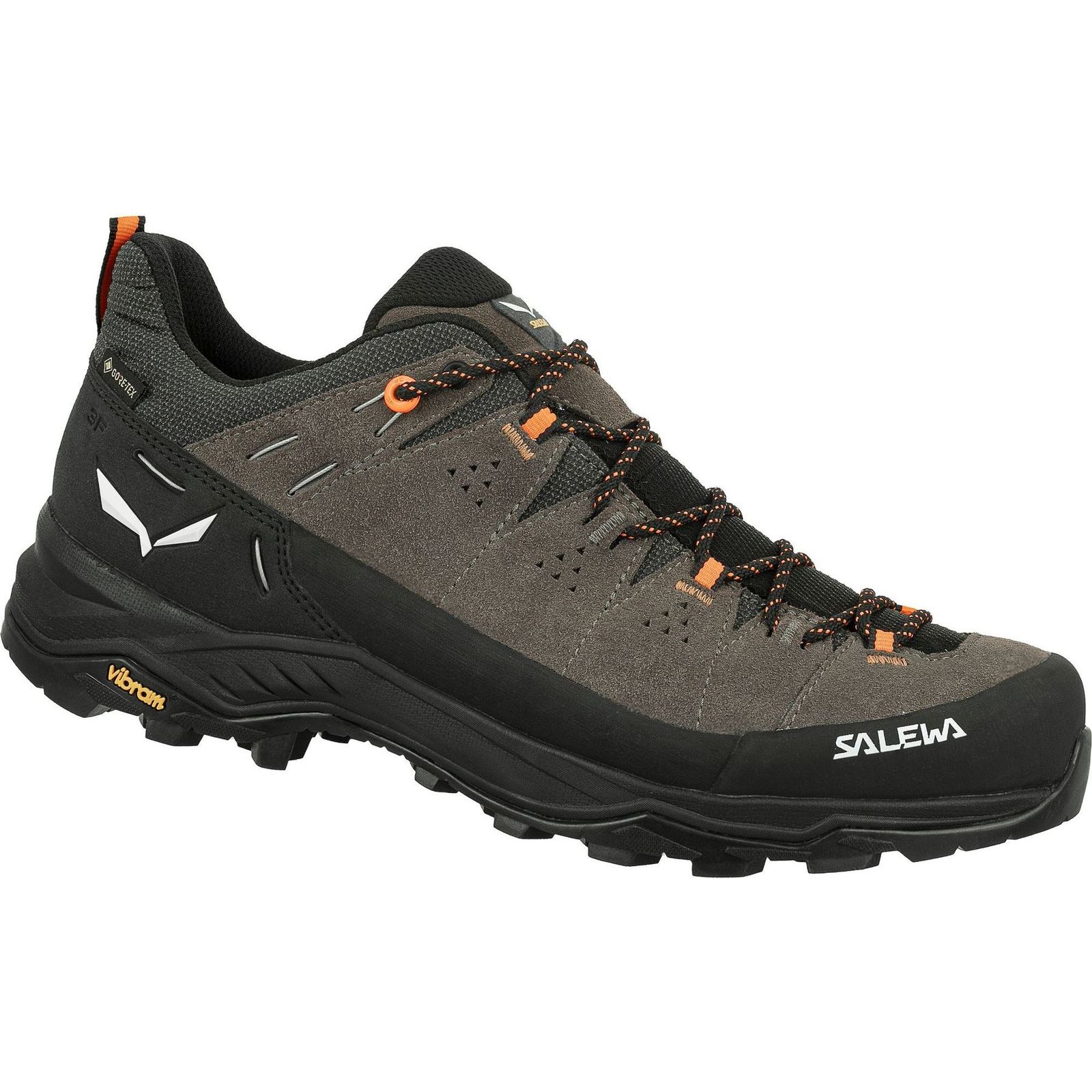 ALP TRAINER 2 GTX M ALP TRAINER 2 GTX M