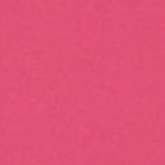 Wonder 1003 02 T-Shirt