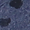 6400202 Moni