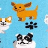 Playful Dog