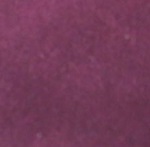 7700502 Robyn