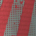 Transalper Graphic S/S Tee W