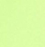 Everyday Solid Volley 15