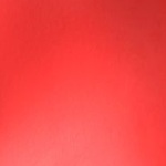 REDSTER S9 CARBON BOA