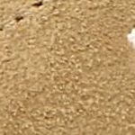 001-2019233-01 Cocoon