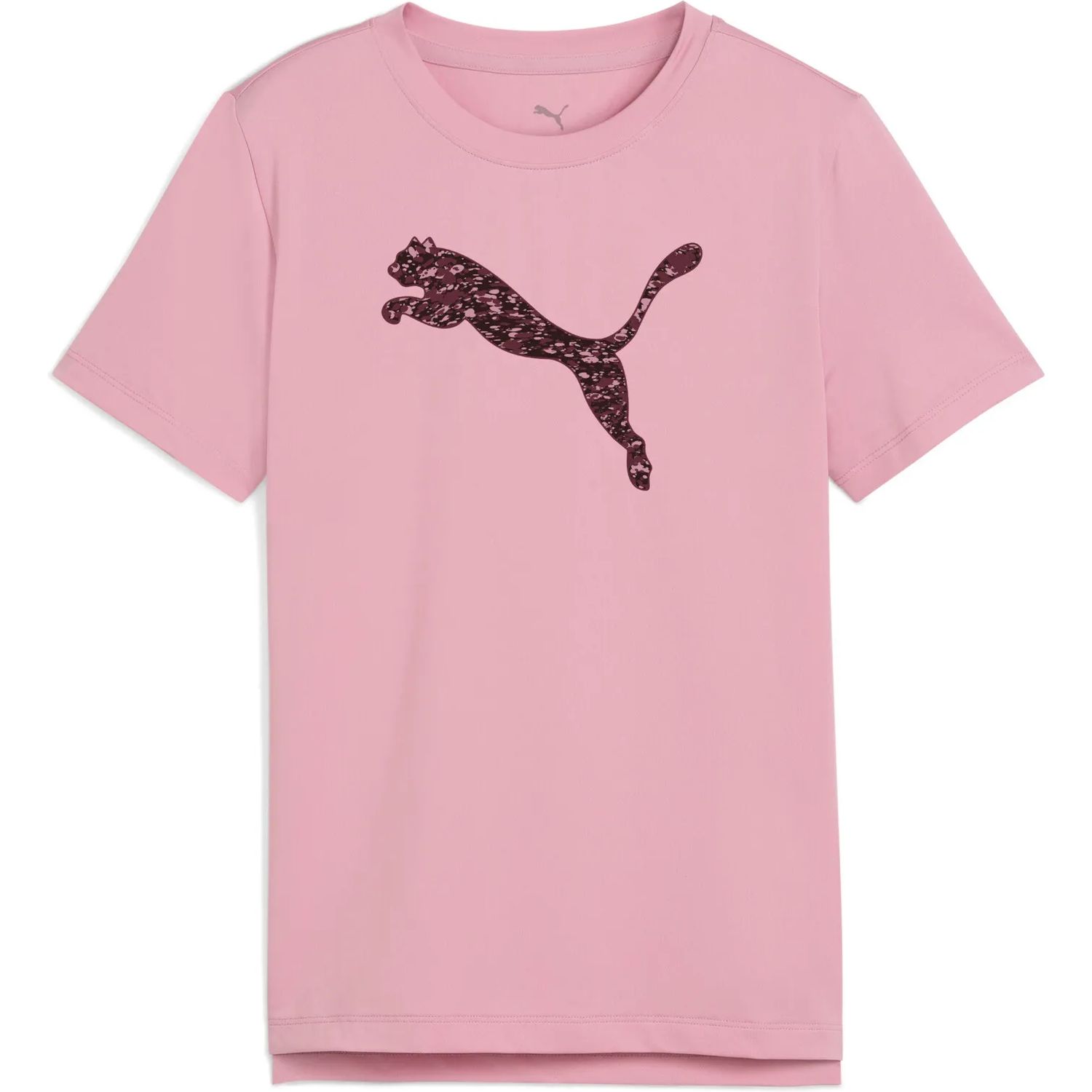 TAD ESS Puma Logo Graphic Tee G