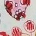 Fruitier