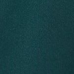 UA B CH. TRAIN SHORT