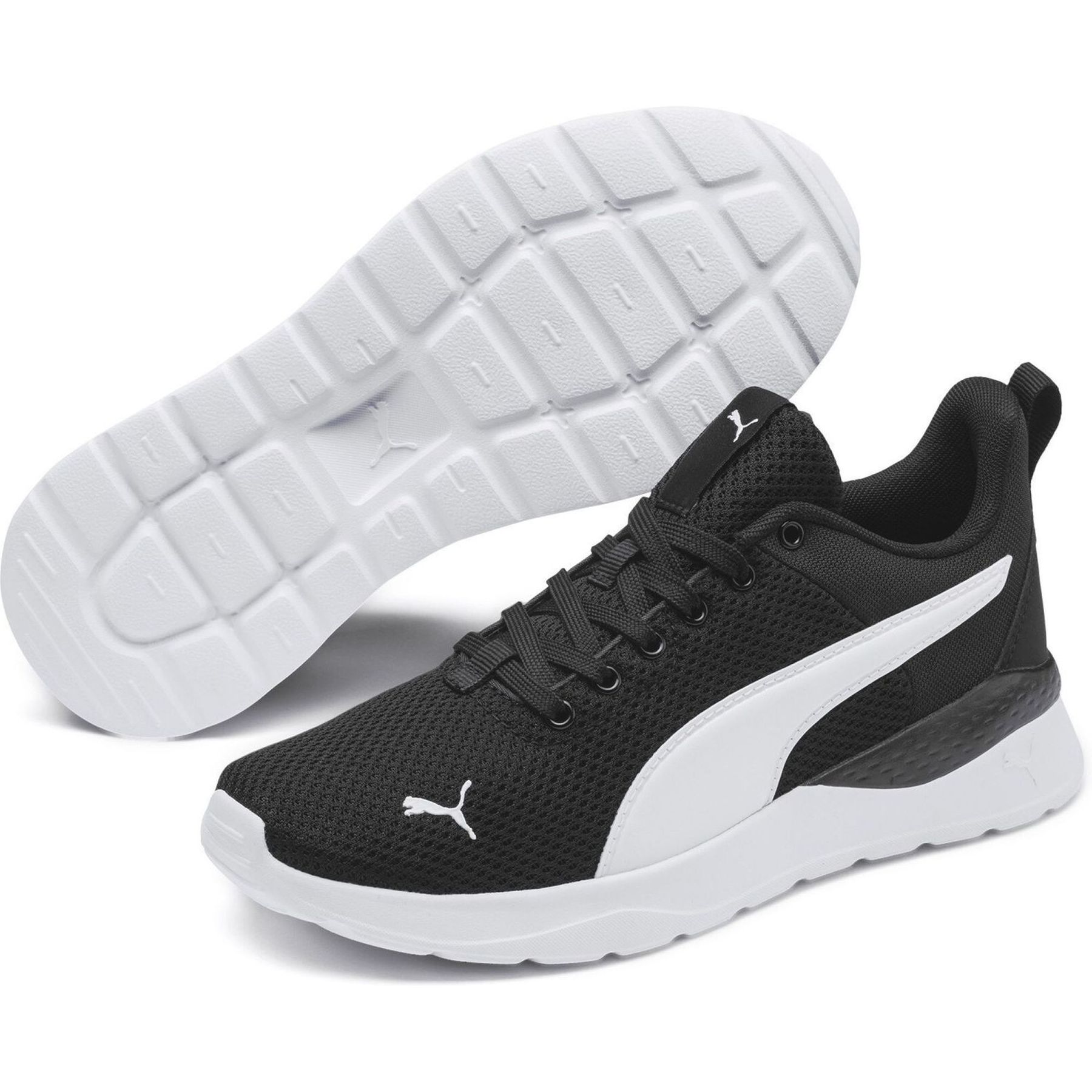 Anzarun Lite Jr