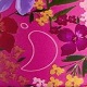 Floral 500ml