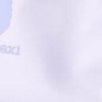 Allpa X 1.5L Hip Pack