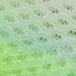 UF1F7R4 Furon Elite FG V9