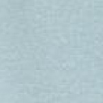 Parsons Point SS Scoop T