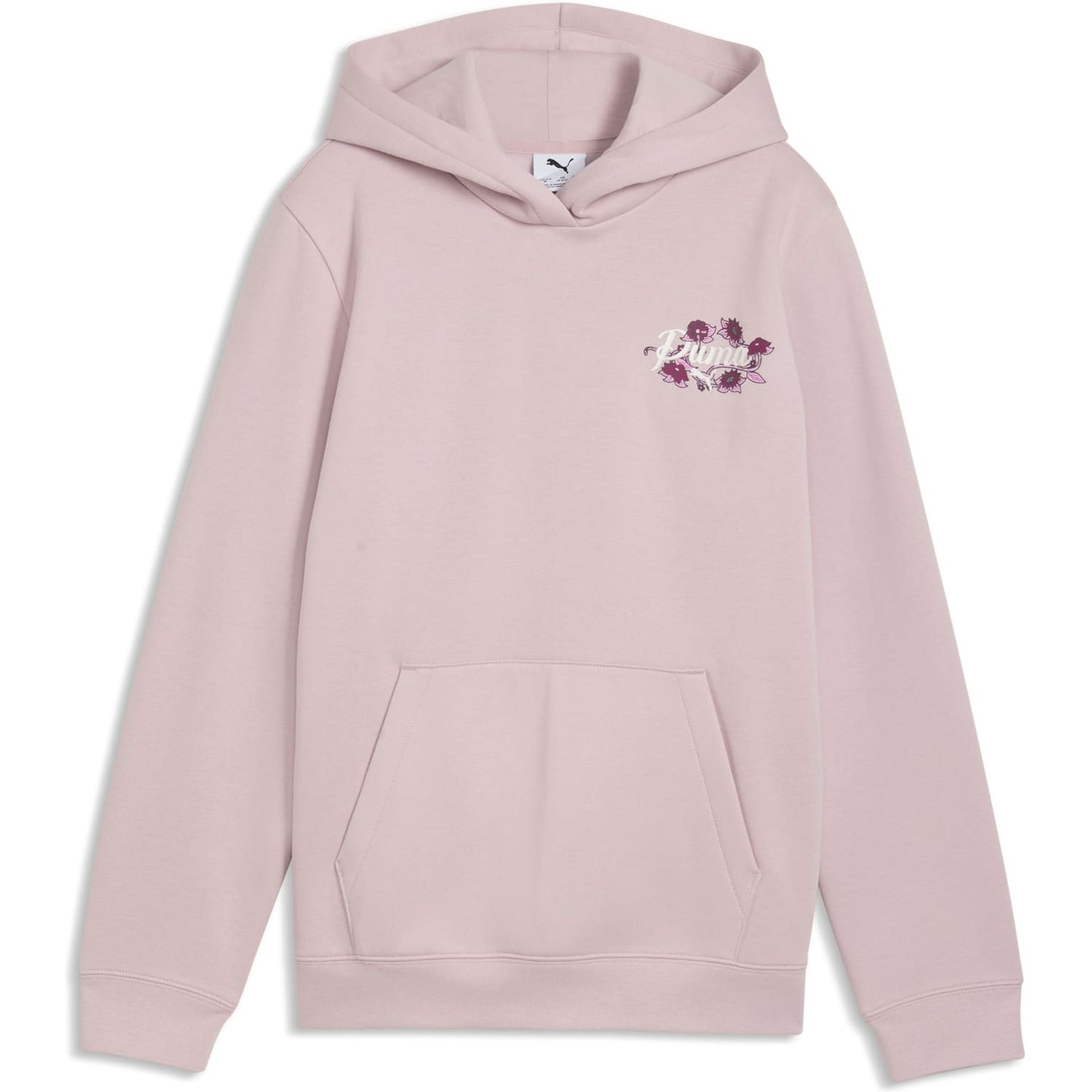ESS NATURE 2.0 Graphic Hoodie FL