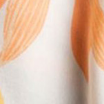 Salty Tan Short