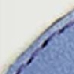 Blue Whale