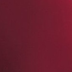 Motion Ankle Leg EMEA