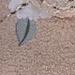 001-2012904-TR Cocoon VL