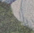 79542 Rosalie 42