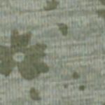 Woman T-Shirt 36N5946