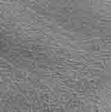 L5075471 Lena-H