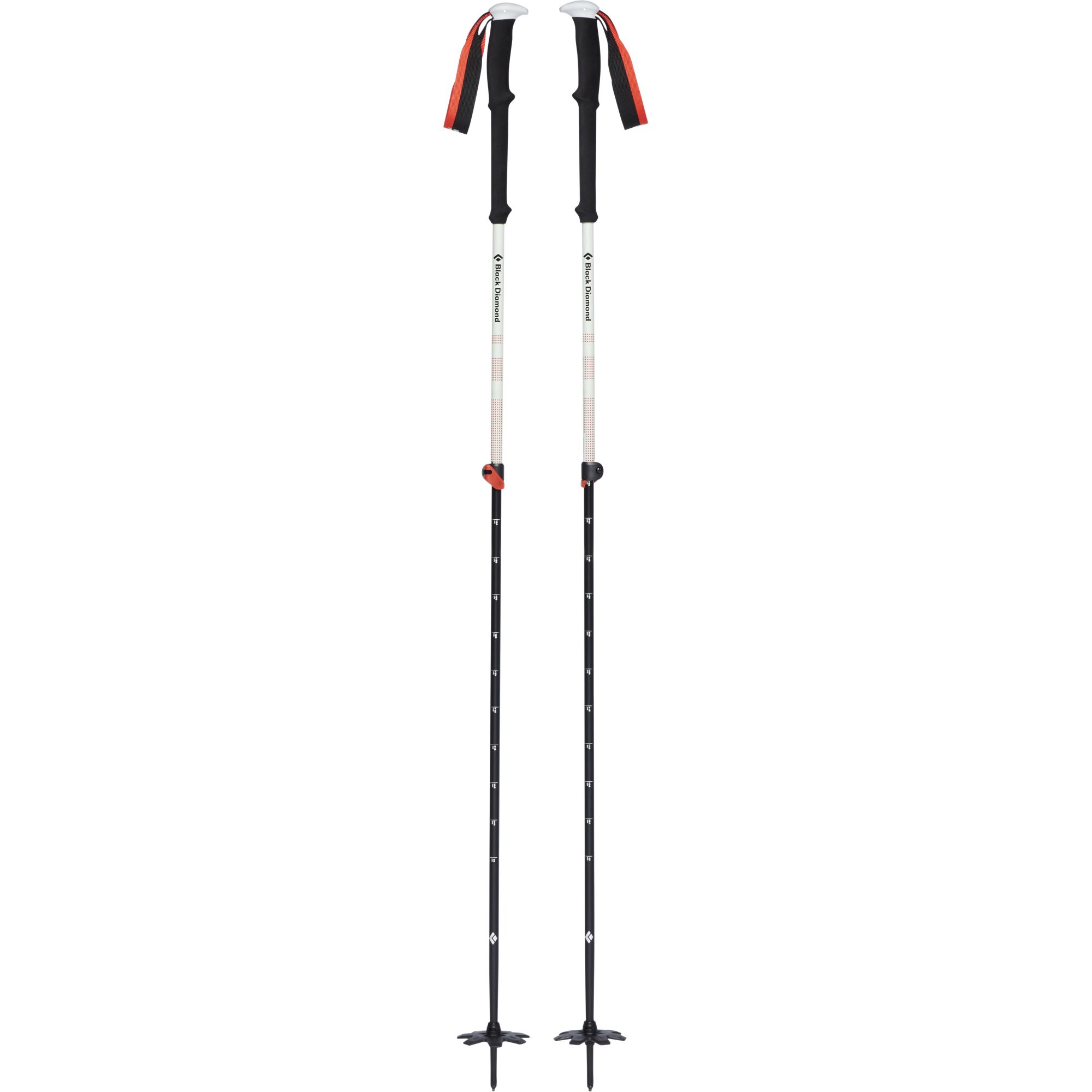 Expedition 3 Ski Poles