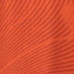 Shirt M's Trail Vertic SS
