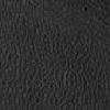 53013 Florida SFB BF Black