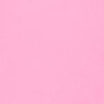 Float Friend floating water toy