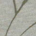 Woman T-Shirt 36N5066