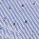 Jet Mach 4 Clay Women