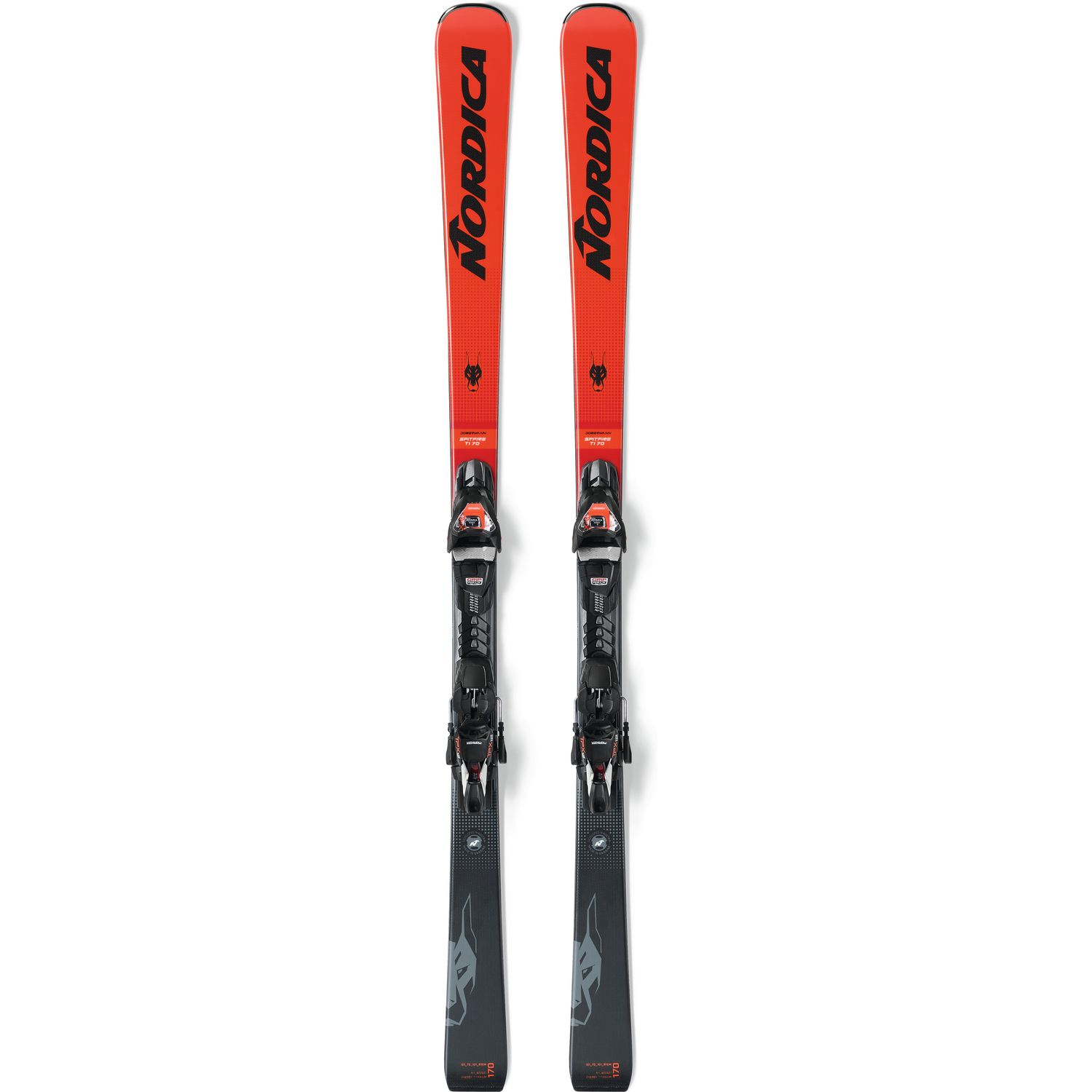 Dobermann Spitfire 70 TI/TPX 12 FDT Dobermann Spitfire 70 TI/TPX 12 FDT